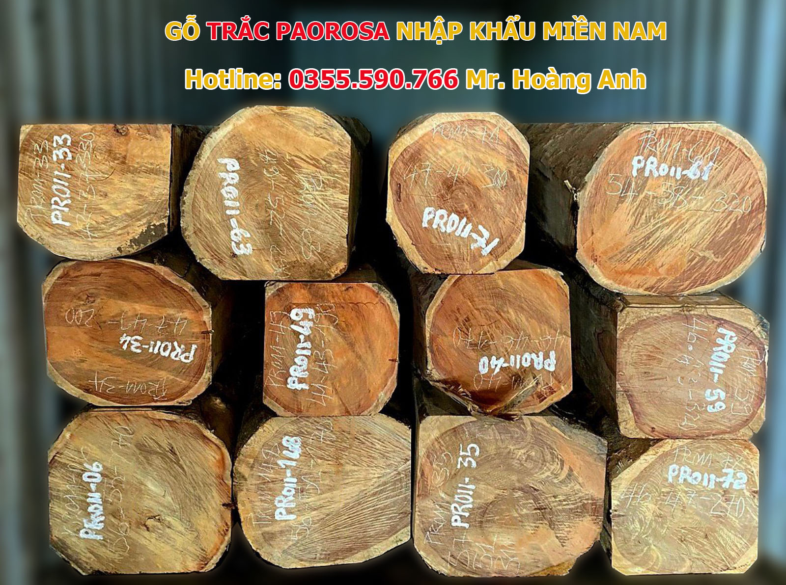 Gỗ Cẩm Trắc Paorosa (Gỗ Cẩm Lai Châu Phi)