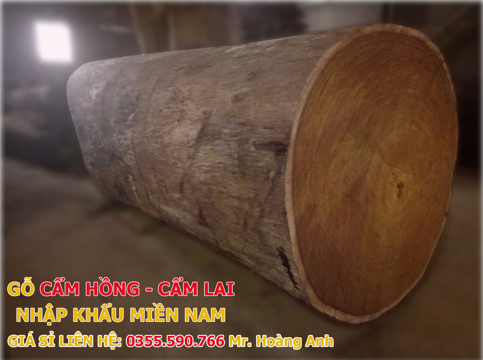 Gỗ Cẩm Hồng (Gỗ Cẩm Lai) Có Giá Trị Kinh Tế Cao