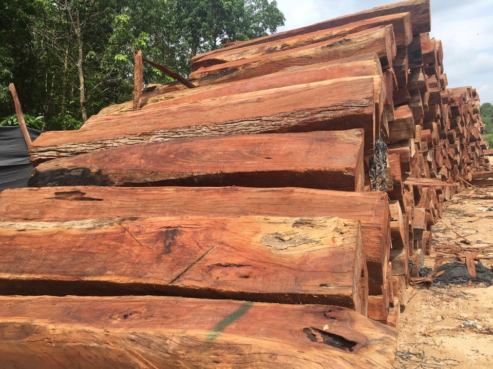 Gỗ Căm Xe Nam Mỹ