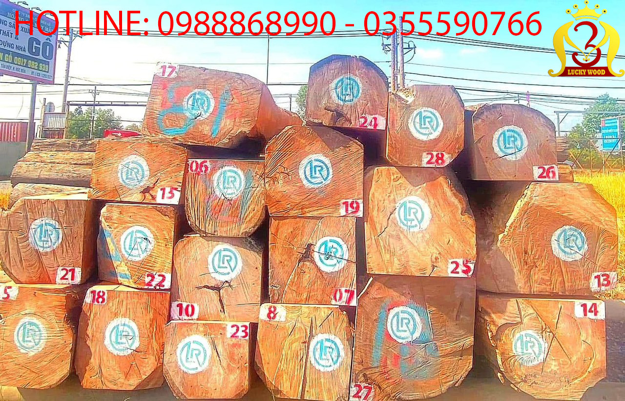 Gỗ Gõ Đỏ Là Gì? Có Bao Nhiêu Loại? Ưu Nhược Điểm Của Loại Gỗ Này